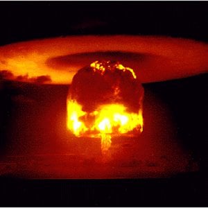 Profile picture for lung butter