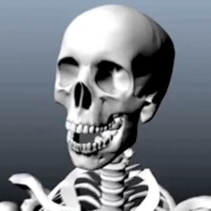 Profile picture for Ken Imai