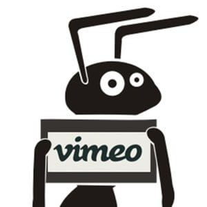 Profile picture for CINECLUBE MATE COM ANGU