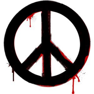 Profile picture for Sabeen Mahmud