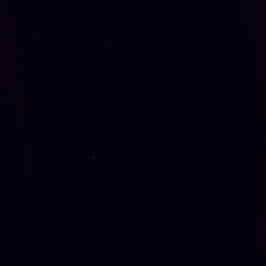 Profile picture for Silicate musique