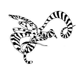 Profile picture for Wonderpuss Octopus