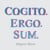 Cogito Ergo Sum