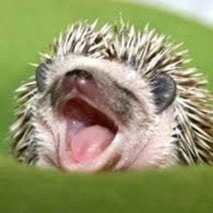 Profile picture for TZ