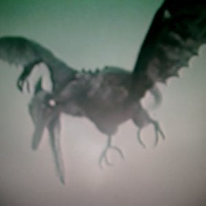 Profile picture for Andrew Pekler