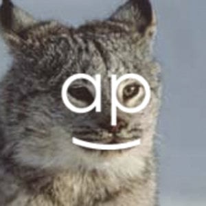 Profile picture for able parris