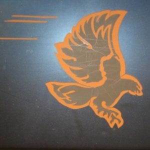 Profile picture for Sturdy Films