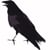 Nomad Communications