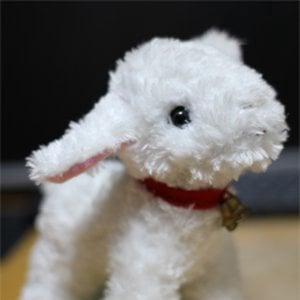 Profile picture for d-yagi
