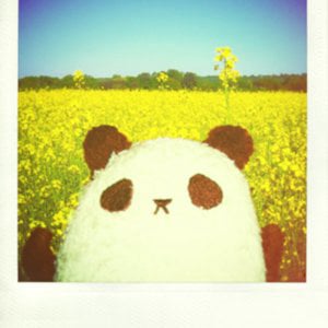 Profile picture for Nancy Tsang
