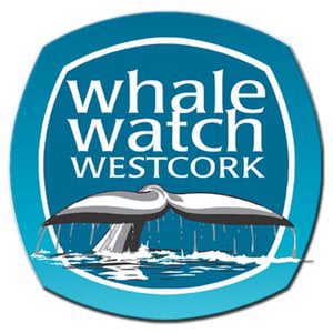 Profile picture for Whale Watch West Cork