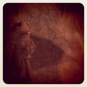 Profile picture for Donal Mangan