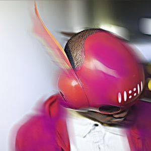 Profile picture for D.I.S GUISE