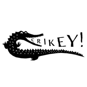 Profile picture for Crikey! Records