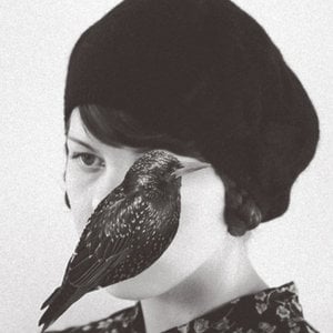 Profile picture for Sara Söderholm