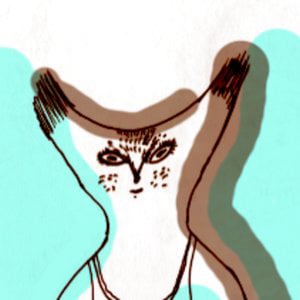 Profile picture for diplodok493