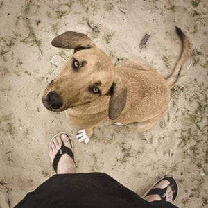 Profile picture for Fred Caron