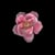 The Orchid