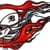 Central Coast Barnstormers