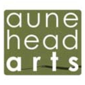 Profile picture for Aune Head Arts