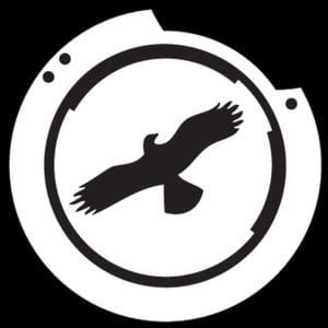 Profile picture for THE GHOSTS IN OUR MACHINE