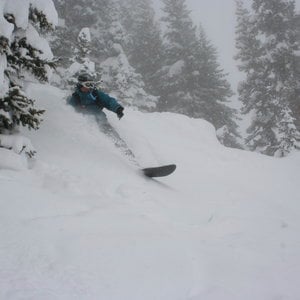 Profile picture for Mountain Weekly News
