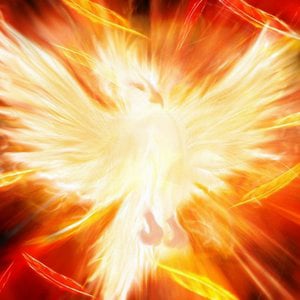 Profile picture for HungryMind