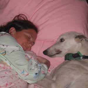 Profile picture for Katy Cassidy