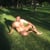 herber2007