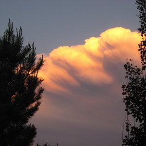 Profile picture for Size of Texas