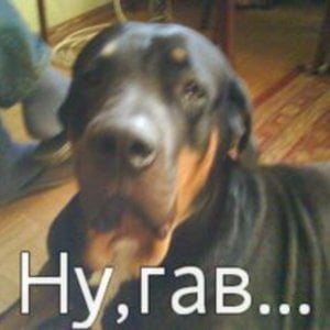 Profile picture for TERAB2