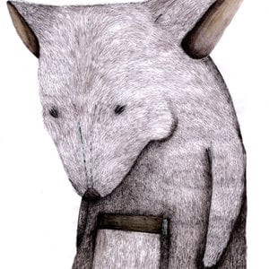 Profile picture for Bisser