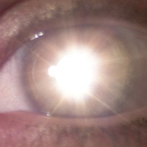 Profile picture for Reimagine Cinema