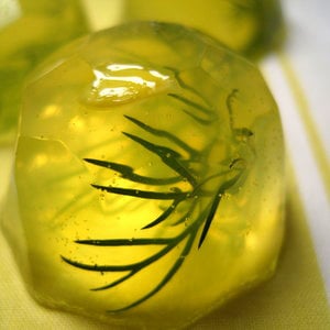 Profile picture for My Jello Americans