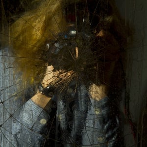 Profile picture for Harrison Webster
