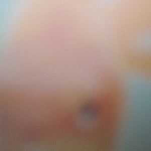 Profile picture for dandelion duff