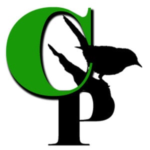 Profile picture for courtesy productions