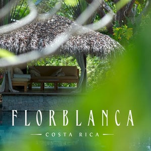 Profile picture for Florblanca Resort