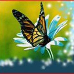 Profile picture for Conversation Papillon