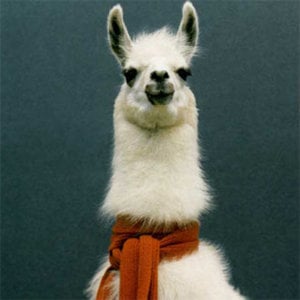 Profile picture for bommel