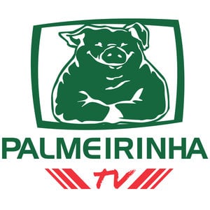 Profile picture for PalmeirinhaTV