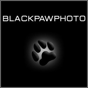 Profile picture for Black Paw Photo