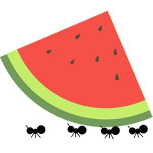 Profile picture for Antfood
