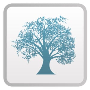 Profile picture for The Artistree