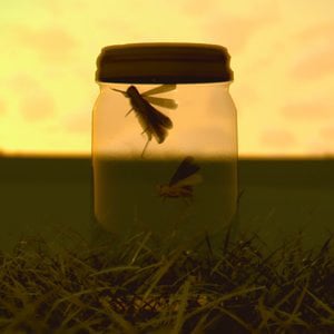Profile picture for Jar of Grasshoppers