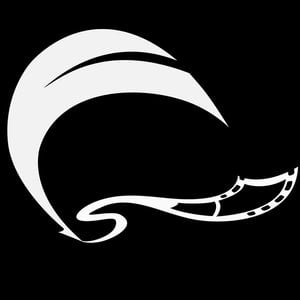 Profile picture for Worth the Stars Media, LLC