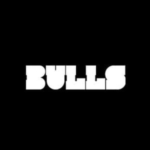 Profile picture for bulls.io