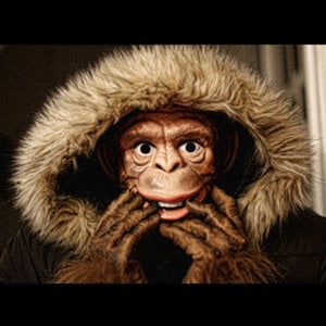 Profile picture for Opus Fuller