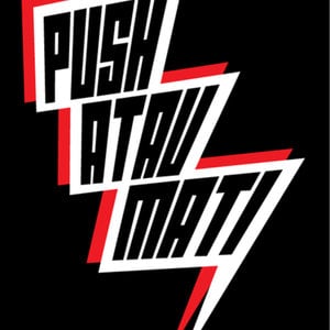 Profile picture for THE PUSH
