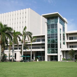 Profile picture for UM Libraries